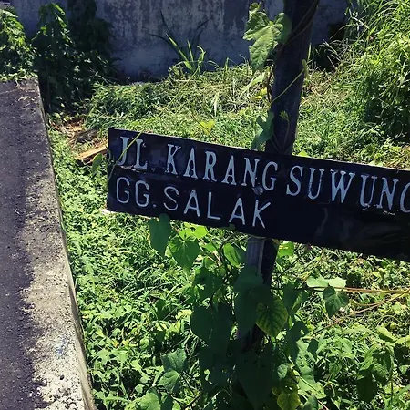 Bali Surf House 2